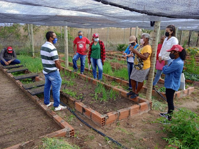 Agricultores familiares do território Sertão do São Francisco renovam certificação orgânica