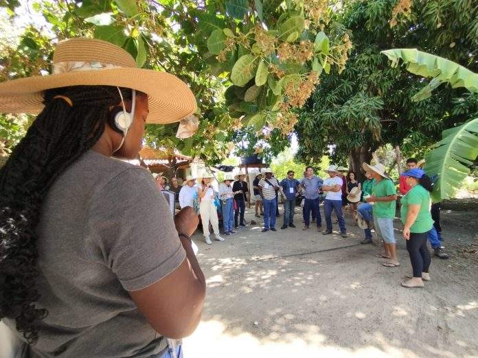 Agricultores e técnicos de sete países visitam experiências de projeto do Governo da Bahia