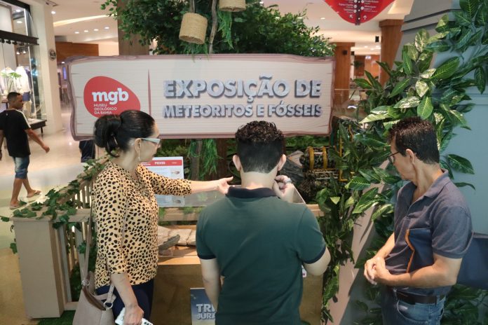 Em duas semanas, exposição do MGB no Salvador Shopping atinge mais de 22 mil visitantes