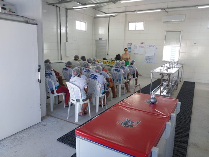 Capacitação transforma pescadores em empreendedores de agroindústria em comunidade de Pilão Arcado