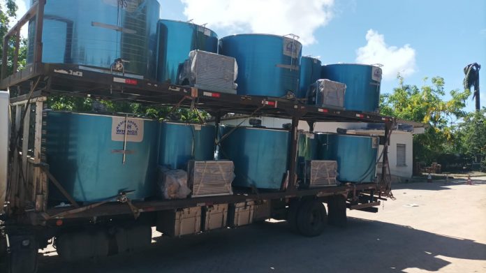 Bovinocultura de leite é fortalecida com entrega de resfriadores no município baiano de Malhada