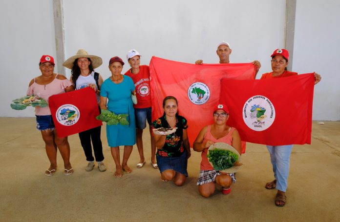 Assentados e assentadas da reforma agrária elevam a produção de alimentos saudáveis na Bahia