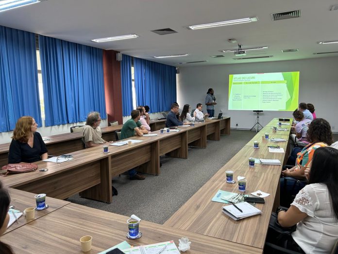 Novos rumos para o sistema produtivo do licuri são debatidos em reunião na capital baiana
